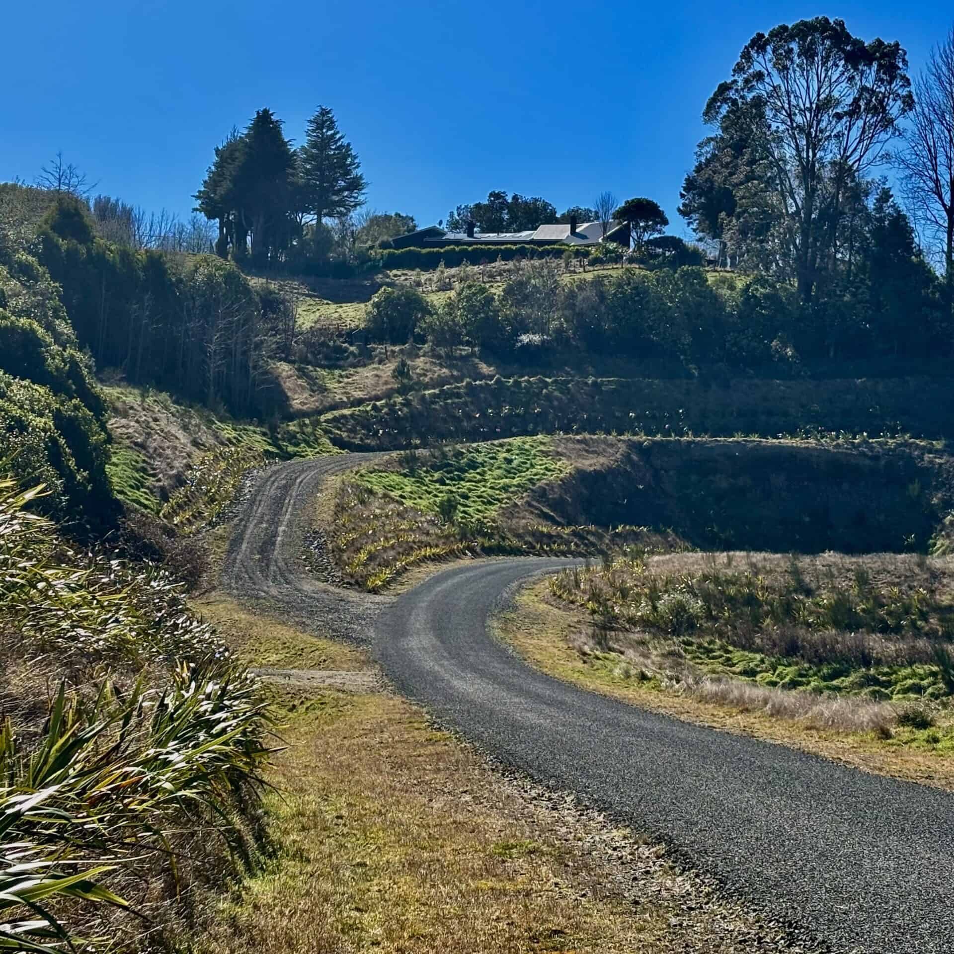 A winding paved road curves uphill through grassy and bushy terrain, leading toward houses and trees under a bright blue sky.