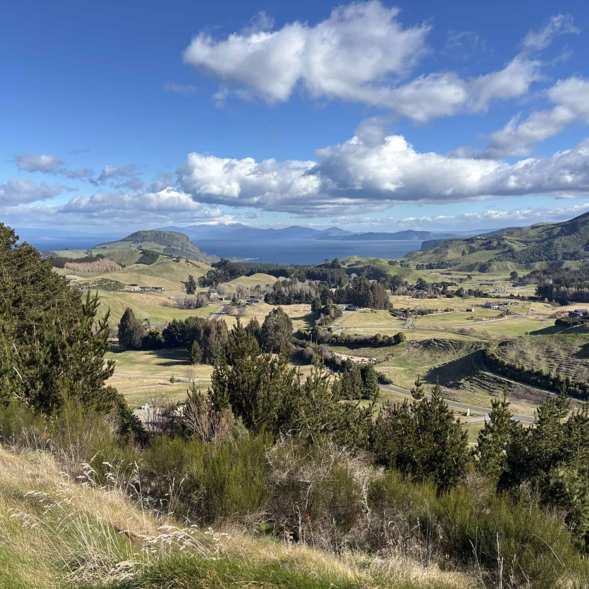A scenic landscape with rolling green hills, scattered trees, open fields, and distant mountains under a bright blue sky with fluffy clouds.