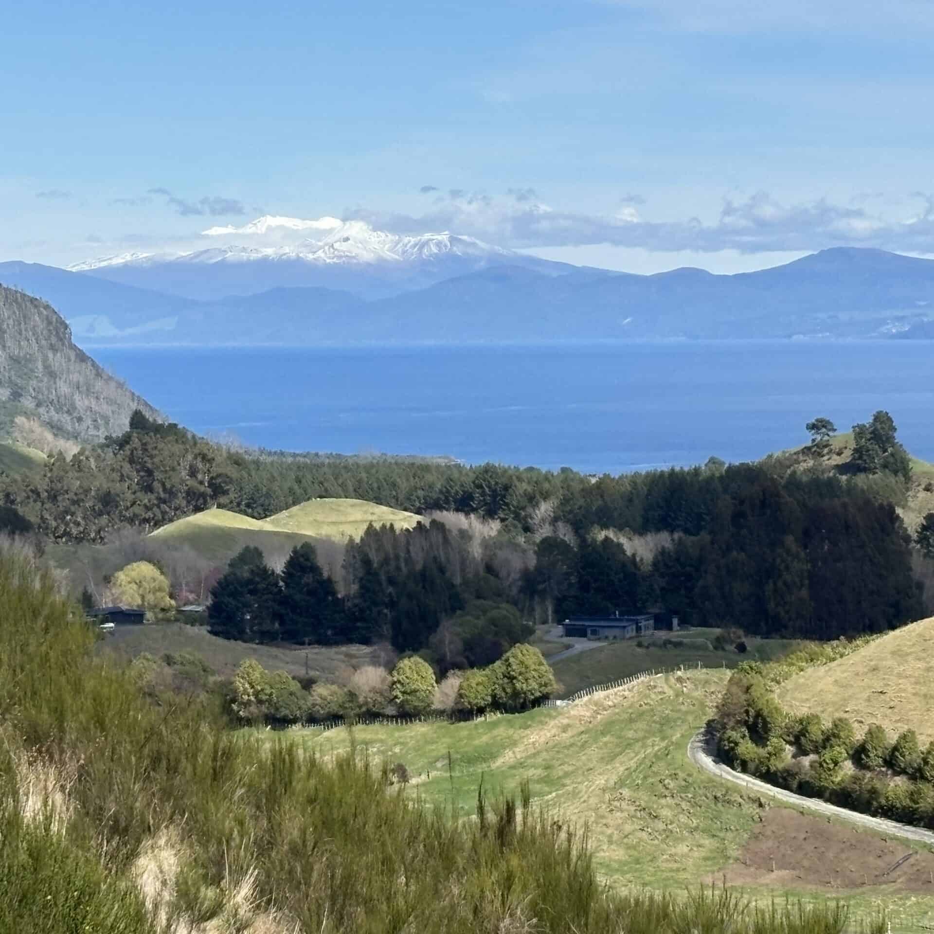 A scenic view of rolling green hills, a forest, and a blue lake with snow-capped mountains in the background under a partly cloudy sky.