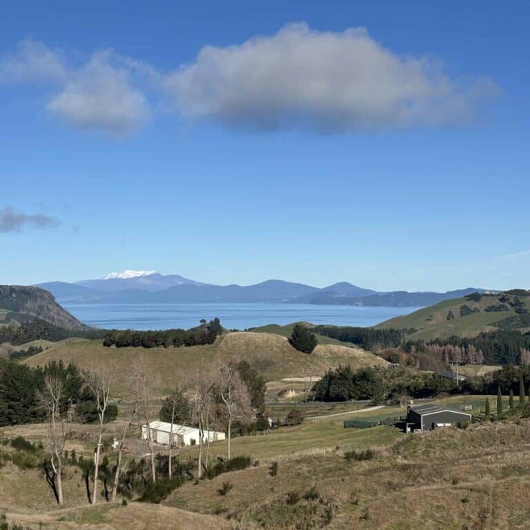 View from the Mapara Ridge Estate house deck